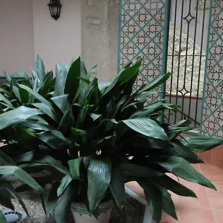 Charming Albaicin Patio Flat Free Onsite Parking