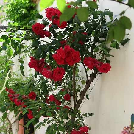 Apartment Charming Albaicin Patio Flat Free Onsite Parking Granada