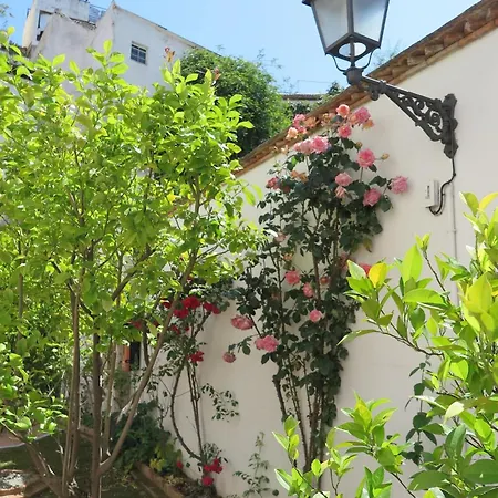 Charming Albaicin Patio Flat Free Onsite Parking *